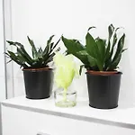 Apartamento 3d Florianska 15