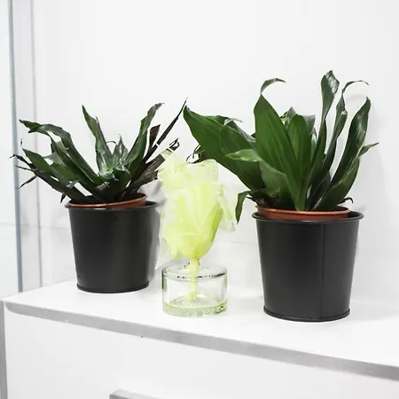 Apartmán 3d Florianska 15