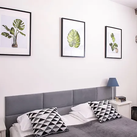 3d Florianska 15 *